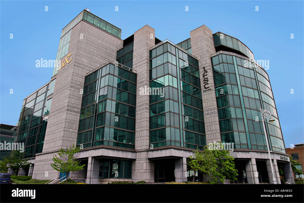 两岸青年齐聚福建万寿岩 将农村大地变成“乡间艺术馆”