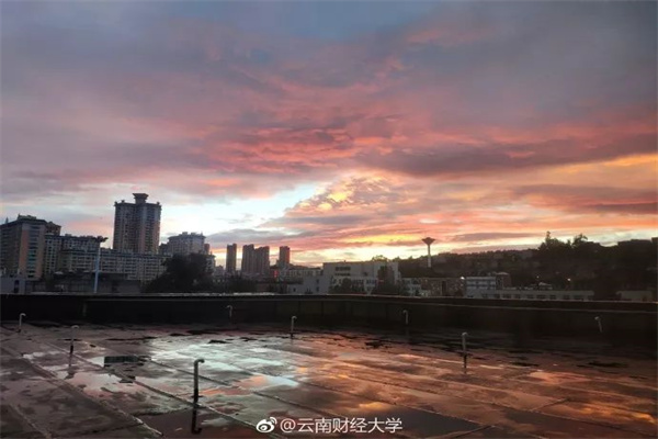 PX低估值弱预期与宏观情绪变化相互博弈