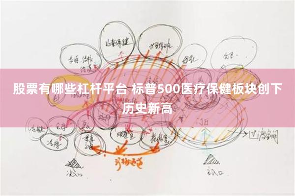股票有哪些杠杆平台 标普500医疗保健板块创下历史新高