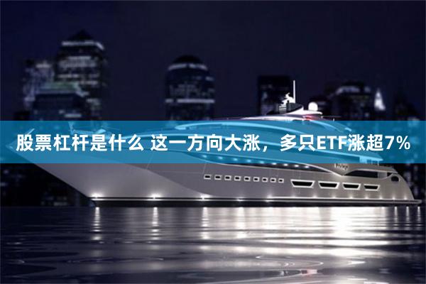股票杠杆是什么 这一方向大涨，多只ETF涨超7%