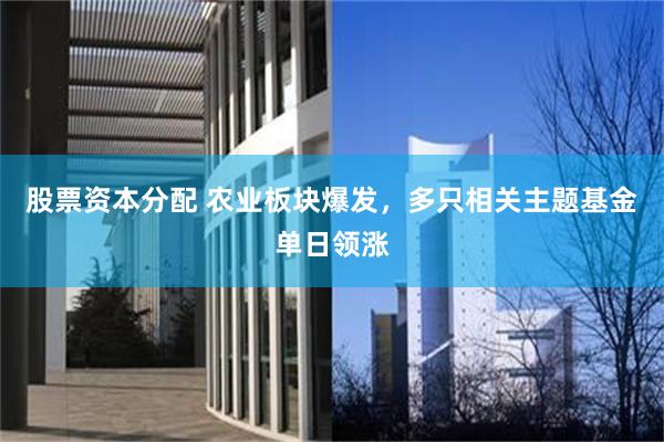股票资本分配 农业板块爆发，多只相关主题基金单日领涨