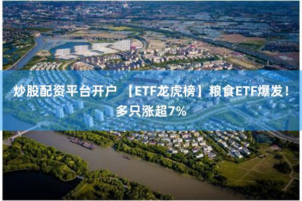 炒股配资平台开户 【ETF龙虎榜】粮食ETF爆发！多只涨超7%