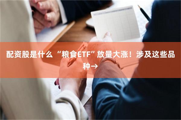 配资股是什么 “粮食ETF”放量大涨！涉及这些品种→