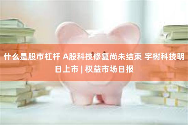 什么是股市杠杆 A股科技修复尚未结束 宇树科技明日上市 | 权益市场日报