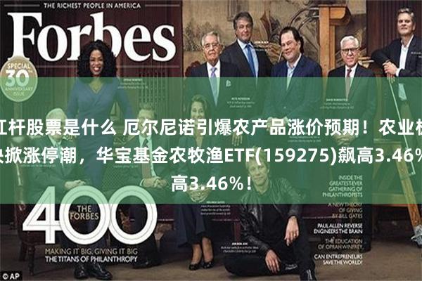 杠杆股票是什么 厄尔尼诺引爆农产品涨价预期！农业板块掀涨停潮，华宝基金农牧渔ETF(159275)飙高3.46%！