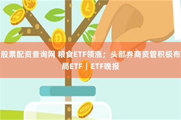股票配资查询网 粮食ETF领涨；头部券商资管积极布局ETF丨ETF晚报