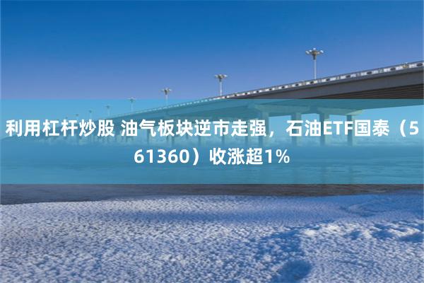 利用杠杆炒股 油气板块逆市走强，石油ETF国泰（561360）收涨超1%