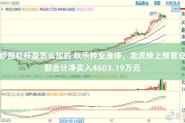 炒股杠杆是怎么加的 秋乐种业涨停，龙虎榜上榜营业部合计净买入4603.19万元
