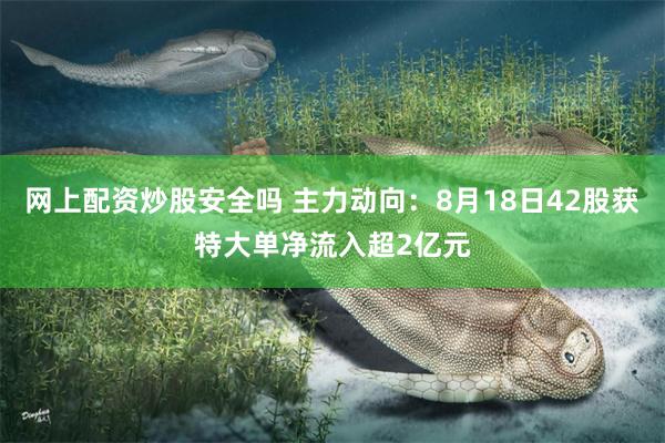 网上配资炒股安全吗 主力动向：8月18日42股获特大单净流入超2亿元