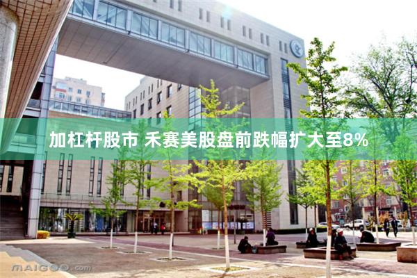 加杠杆股市 禾赛美股盘前跌幅扩大至8%