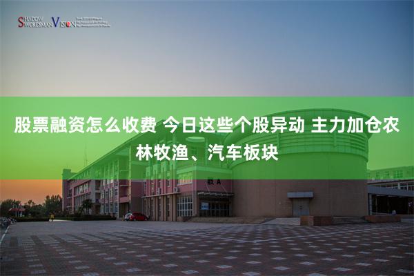 股票融资怎么收费 今日这些个股异动 主力加仓农林牧渔、汽车板块