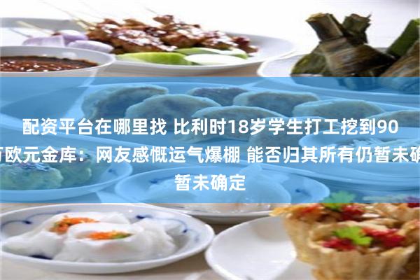 配资平台在哪里找 比利时18岁学生打工挖到900万欧元金库：网友感慨运气爆棚 能否归其所有仍暂未确定