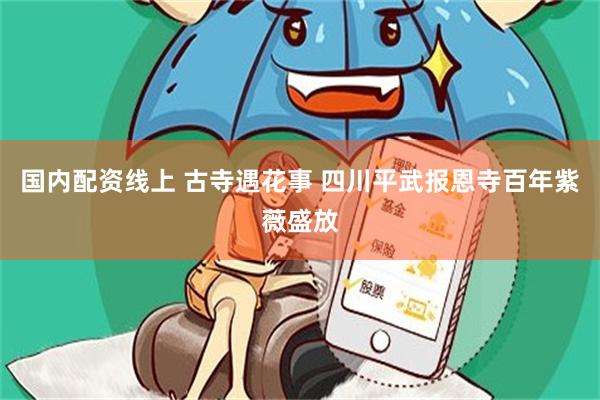 国内配资线上 古寺遇花事 四川平武报恩寺百年紫薇盛放