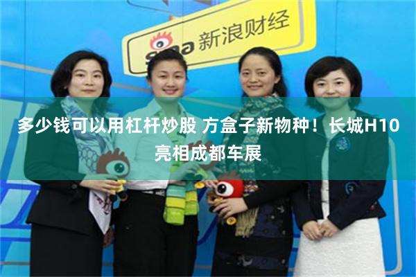 多少钱可以用杠杆炒股 方盒子新物种！长城H10亮相成都车展