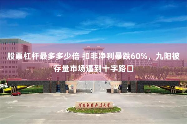 股票杠杆最多多少倍 扣非净利暴跌60%，九阳被存量市场逼到十字路口