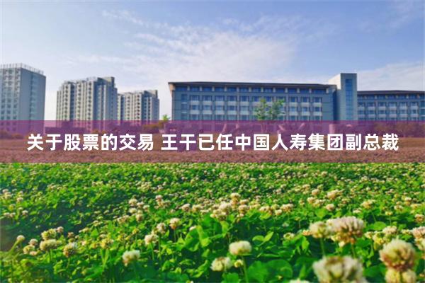 关于股票的交易 王干已任中国人寿集团副总裁