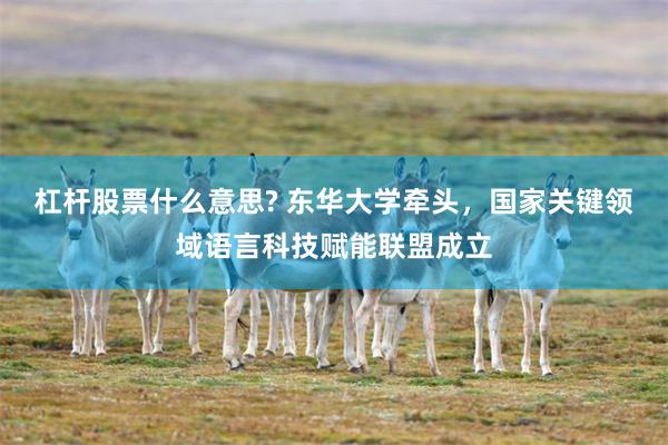 杠杆股票什么意思? 东华大学牵头，国家关键领域语言科技赋能联盟成立