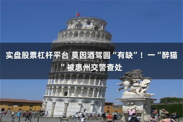 实盘股票杠杆平台 莫因酒驾圆“有缺”！一“醉猫”被惠州交警查处
