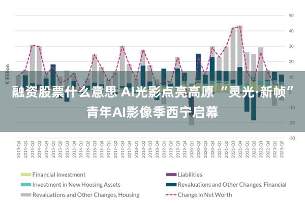 融资股票什么意思 AI光影点亮高原 “灵光·新帧”青年AI影像季西宁启幕