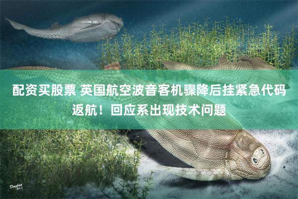 配资买股票 英国航空波音客机骤降后挂紧急代码返航！回应系出现技术问题