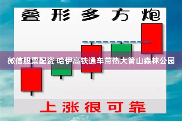 微信股票配资 哈伊高铁通车带热大箐山森林公园