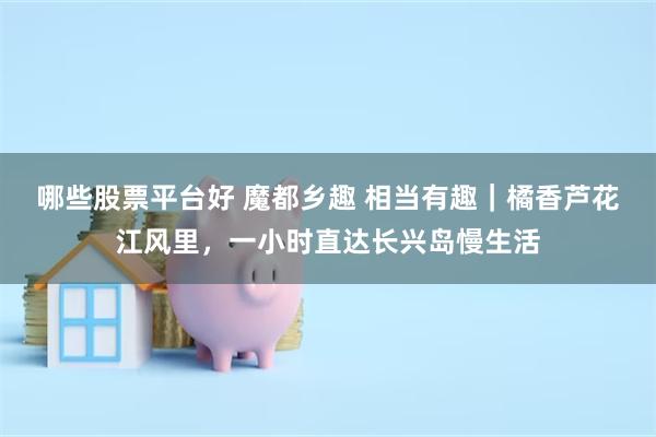 哪些股票平台好 魔都乡趣 相当有趣｜橘香芦花江风里，一小时直达长兴岛慢生活